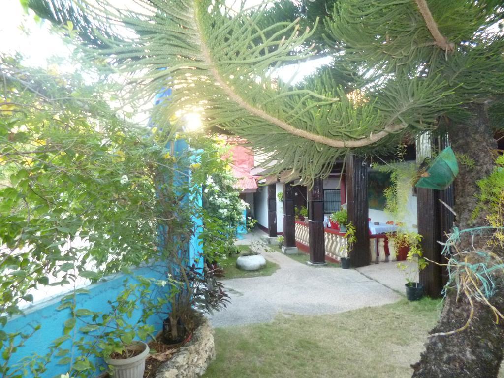 Casakeja Inn Panglao Exteriér fotografie