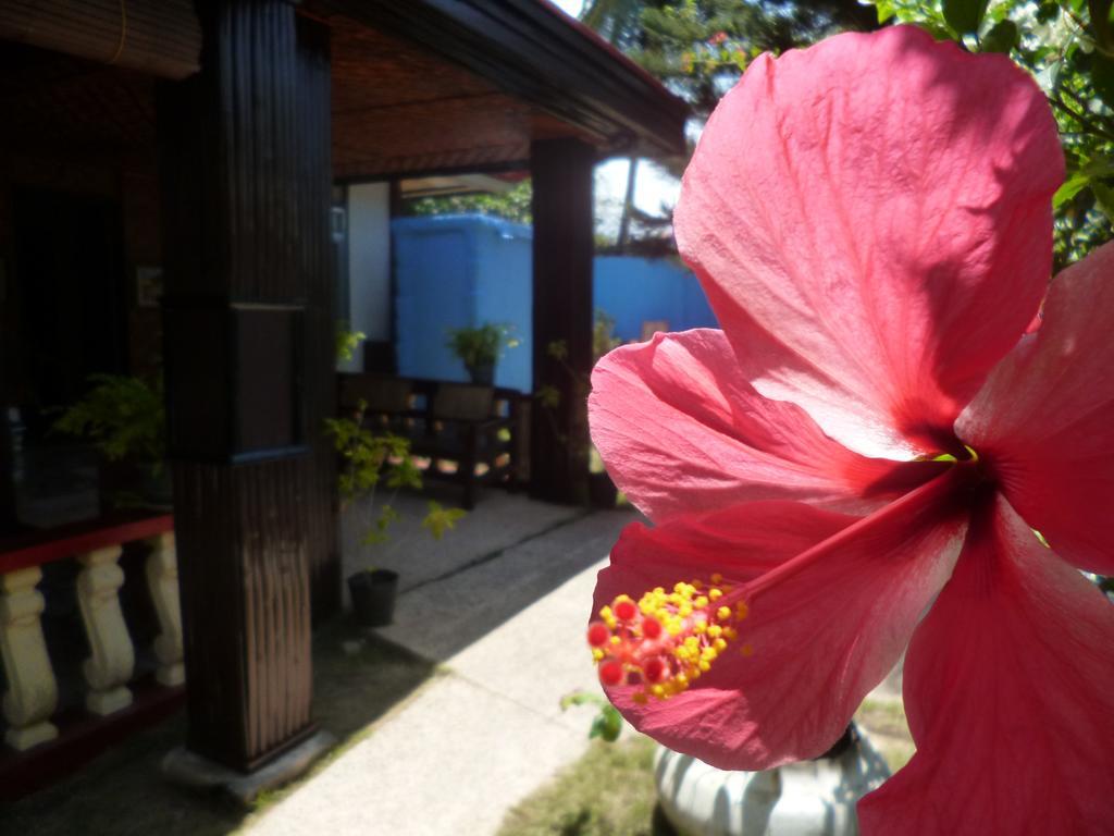Casakeja Inn Panglao Exteriér fotografie