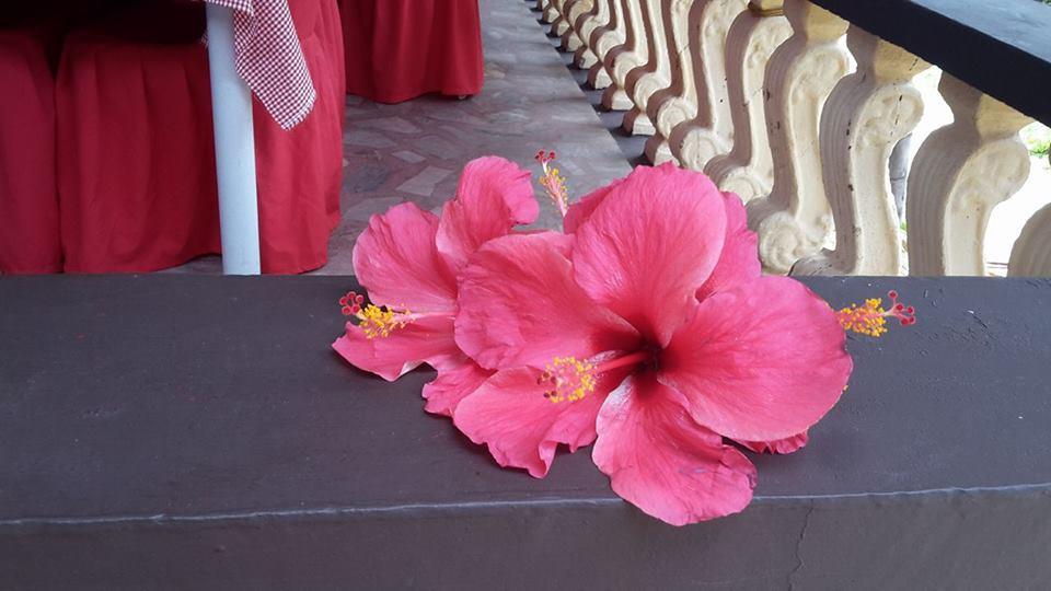 Casakeja Inn Panglao Exteriér fotografie